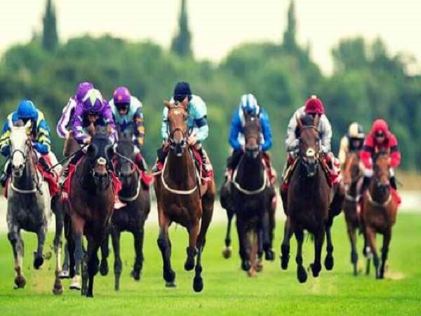 Pocket how to guess horse racing game tips to play 100% win