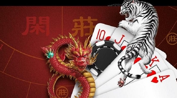 Guide Dragon Tiger: How to play basic easy to understand