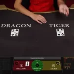 Basic terms when playing Dragon Tiger need to be mastered before playing