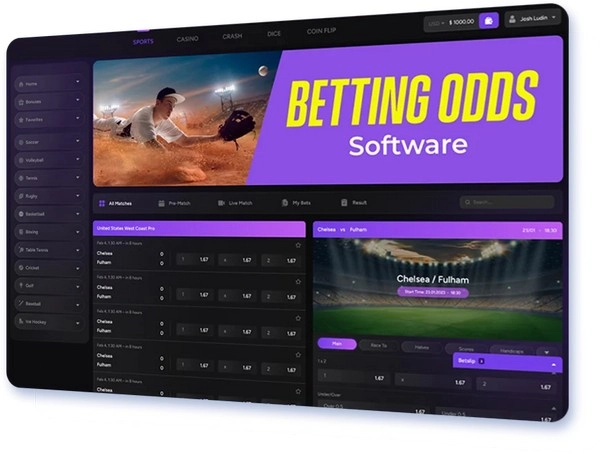 A Precise Guide to Analyzing Betting Odds for Effective Wagers